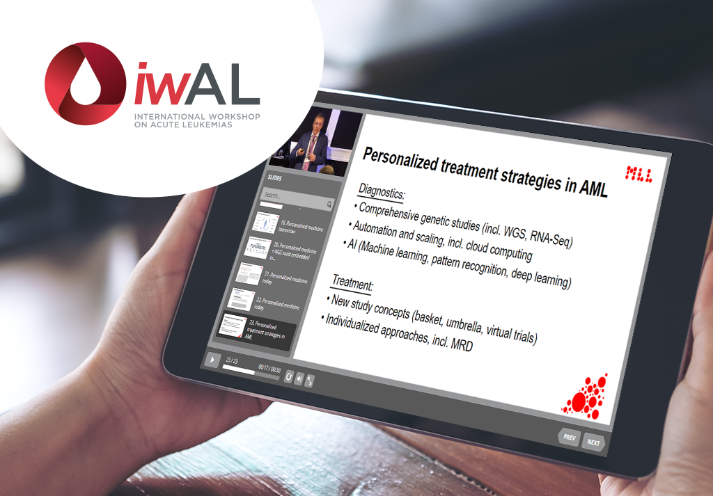 <em><b>iw</b></em>AL 2019 <br>E-learning