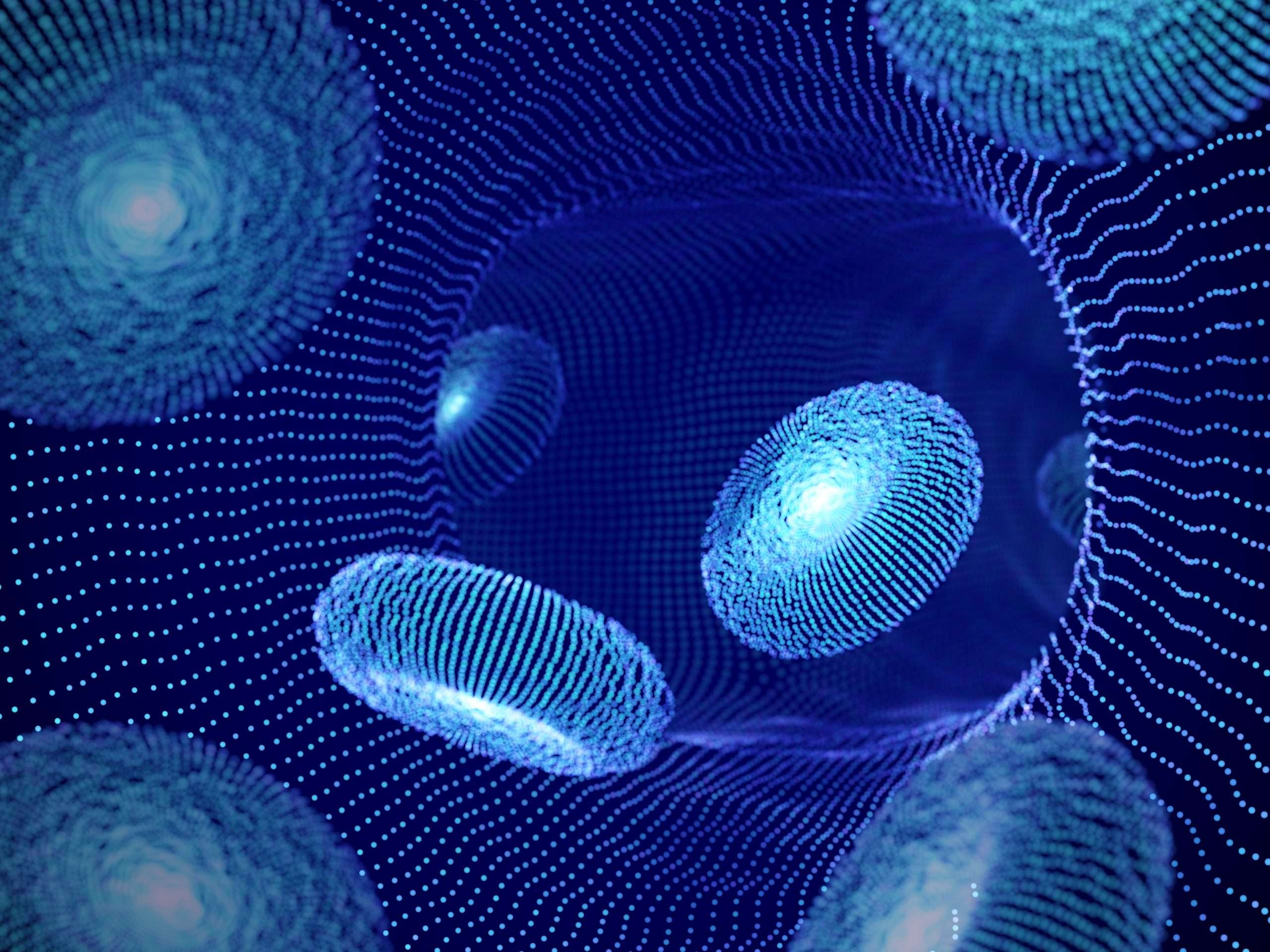 EBMT 2020: Transplantation Top Picks