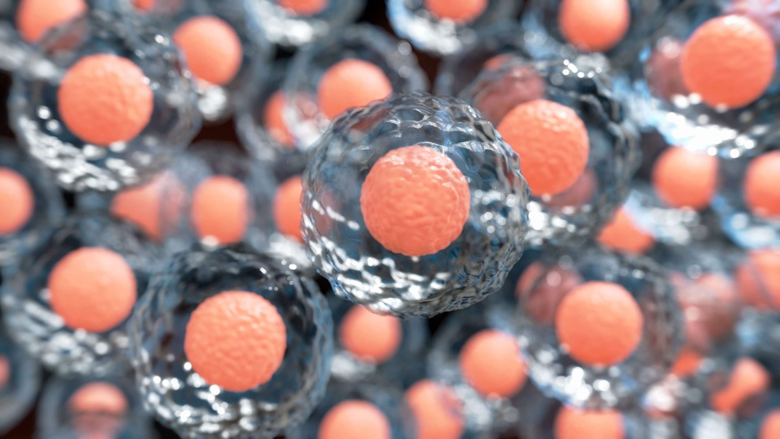 Highlights from the EBMT 2021 virtual meeting