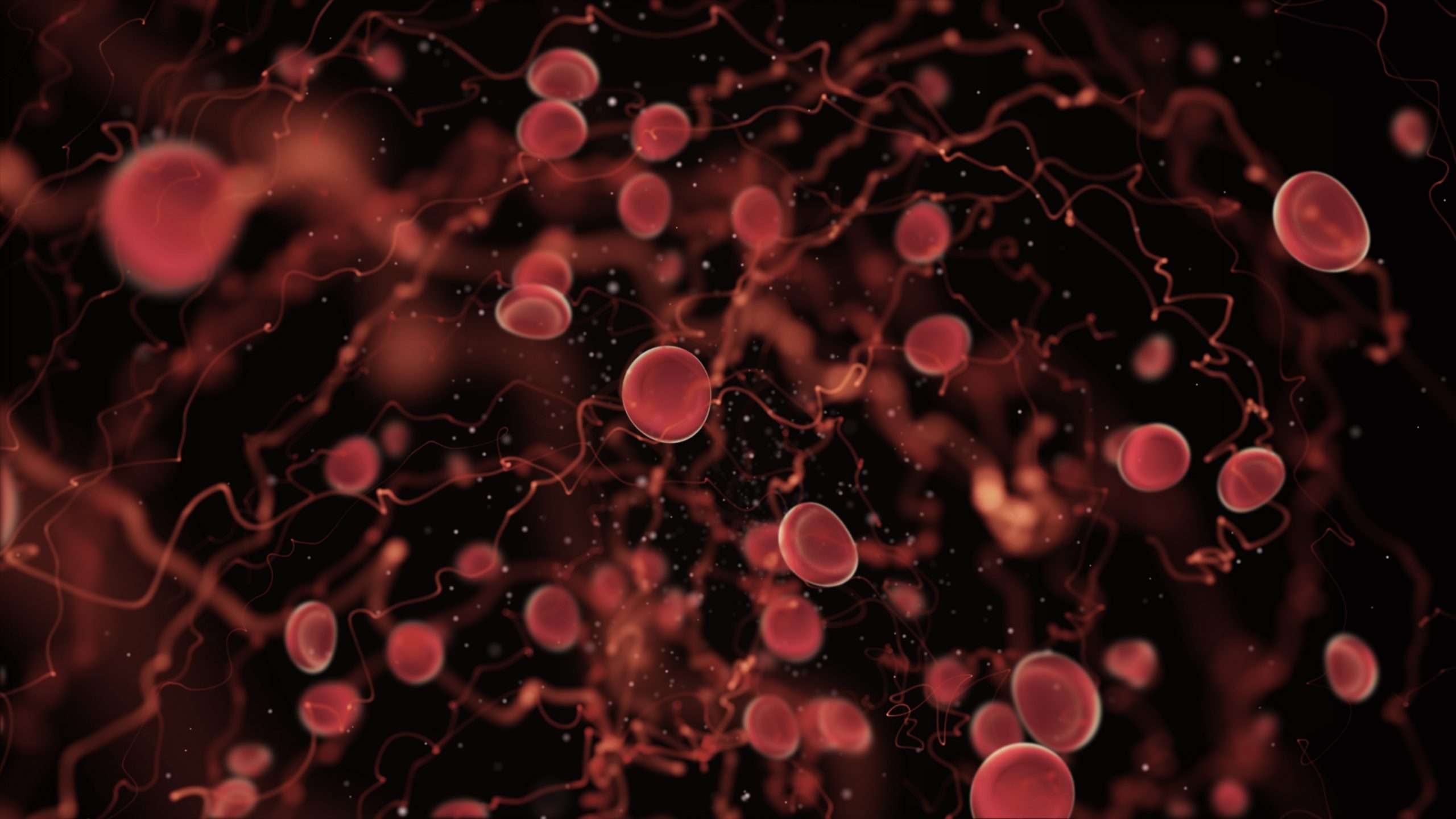 IMW 2021: Heinz Ludwig and Hermann Einsele discuss meeting highlights