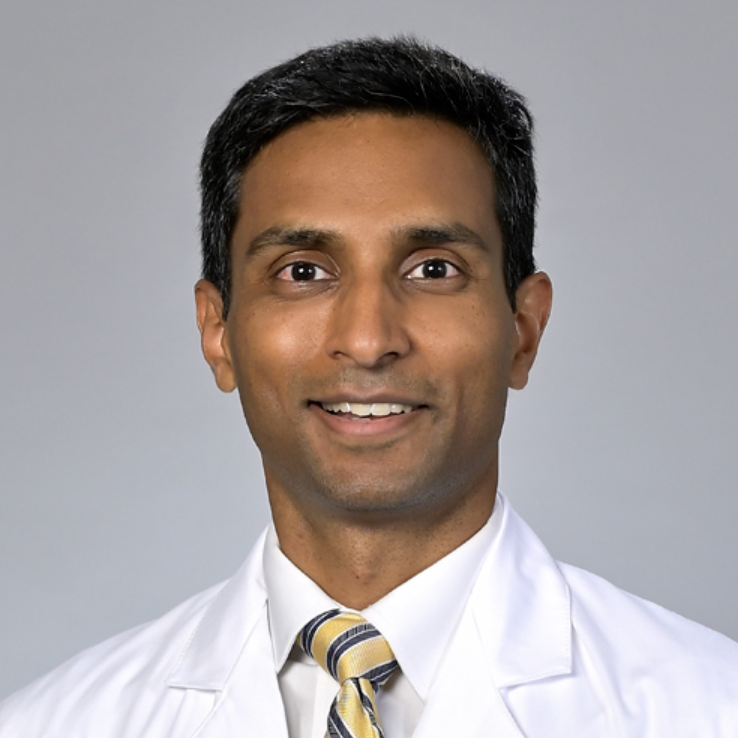Vivek Narayan