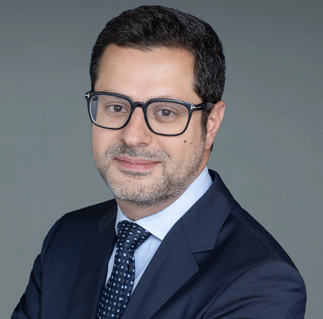 Mohammad Maher Abdul-Hay